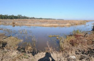 Orton Plantation Restoration