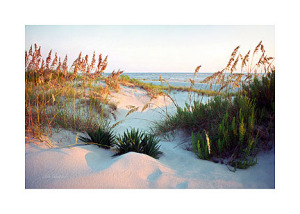 Dunes-Path-Ken-Buckner