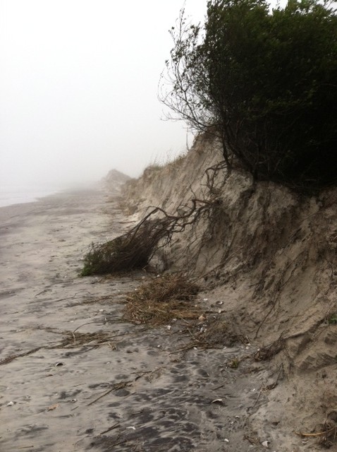 Kindred Spirit Mailbox needs our help after Tropical Storm Ana 4