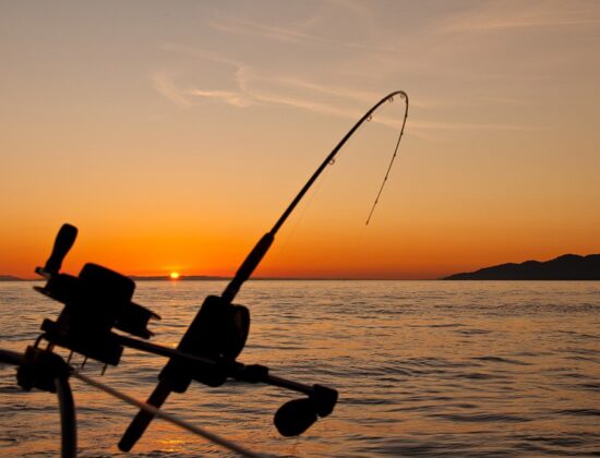Capt. Austin’s Fishing Adventure